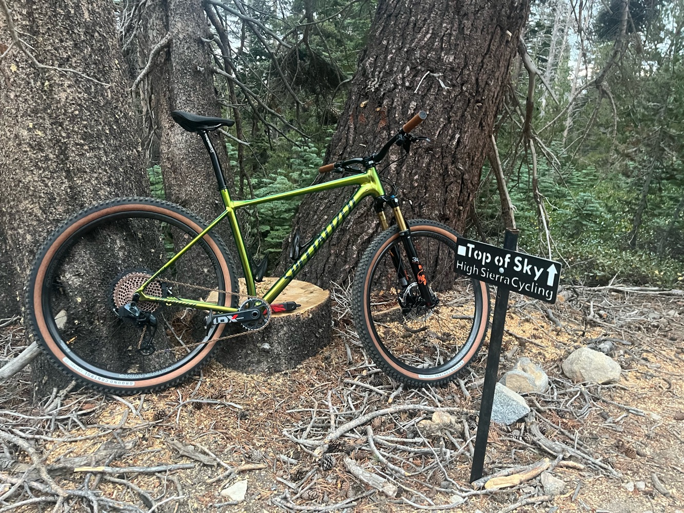 Custom Built Specialized Chisel XL - Hardtail Bikes | SENDY