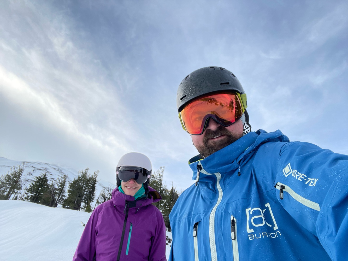 Burton Family Tree - Day Trader 145 (2018) - Snowboards | SENDY